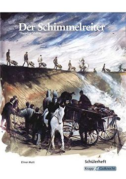 portada Der Schimmelreiter, Theodor Storm (in German)