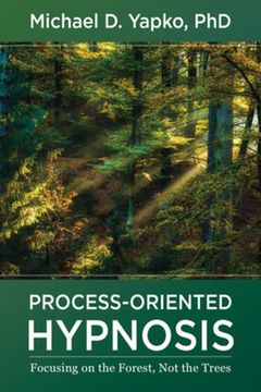 portada Process-Oriented Hypnosis: Focusing on the Forest, Not the Trees (en Inglés)