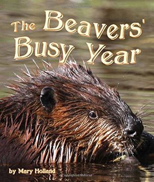 portada The Beavers' Busy Year (en Inglés)