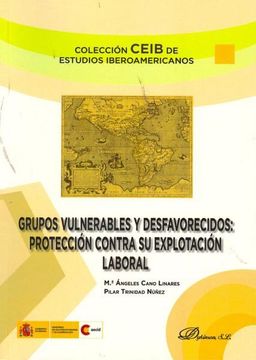 portada Grupos Vulnerables y Desfavorecidos. Protección Contra su Explotación Laboral (Colección Ceib de Estudios Iberoamericanos)