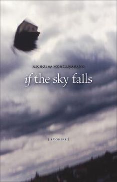 portada if the sky falls (in English)