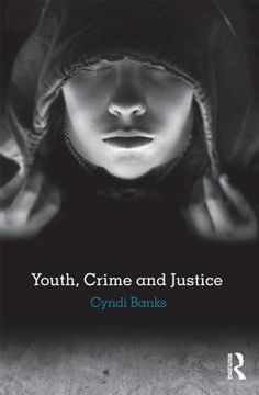 portada youth, crime and justice (en Inglés)