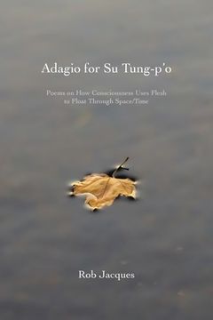 portada Adagio for Su Tung-p'o: Poems on How Consciousness Uses Flesh to Float Through Space/Time