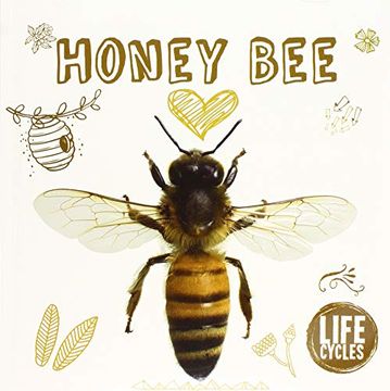 portada Honey bee (Life Cycles) (in English)