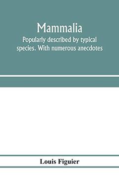 portada Mammalia. Popularly Described by Typical Species. With Numerous Anecdotes (en Inglés)