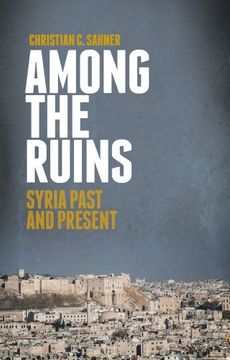 portada Among the Ruins (en Inglés)
