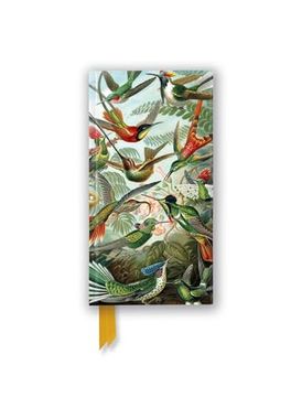 portada Ernst Haeckel: Hummingbirds (Foiled Slimline Journal) (Flame Tree Slimline Journals)
