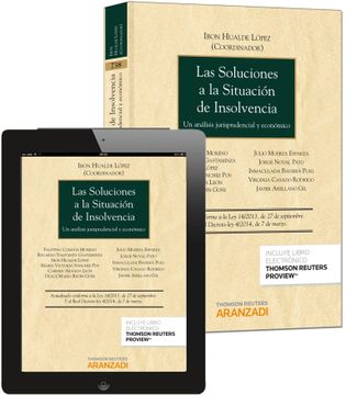 portada Las Soluciones a la Situación de Insolvencia (Papel + E-Book): Un Análisis Jurisprudencial y Económico (Monografía)