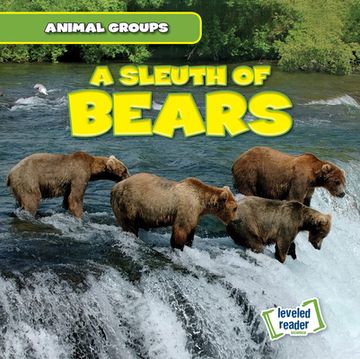 portada A Sleuth of Bears (in English)