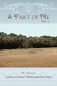 portada A Part of me Vol. 1: My Visions (in English)
