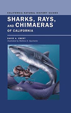 portada Sharks, Rays, and Chimaeras of California (California Natural History Guides) (en Inglés)