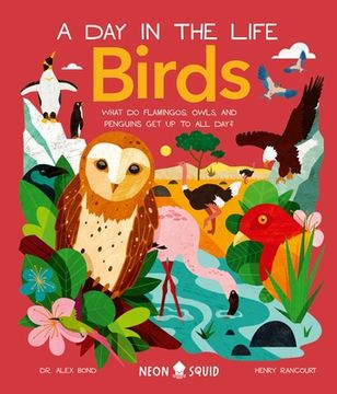 portada Birds (a day in the Life): What do Flamingos, Owls, and Penguins get up to all Day? (in English)