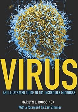 portada Virus: An Illustrated Guide to 101 Incredible Microbes (en Inglés)