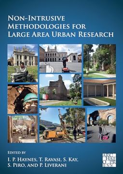 portada Non-Intrusive Methodologies for Large Area Urban Research (in English)