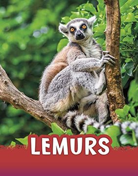 portada Lemurs (Animals) (en Inglés)