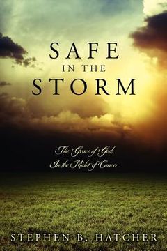 portada safe in the storm (en Inglés)
