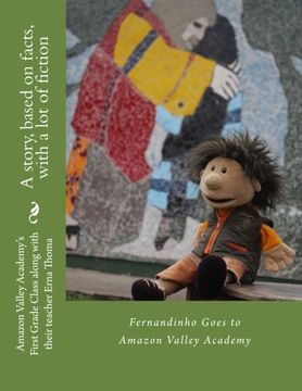 portada Fernandinho Goes to Amazon Valley Academy: A story, based on facts, with a lot of fiction