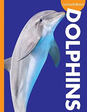 portada Curious About Dolphins (Curious About Wild Animals) (en Inglés)