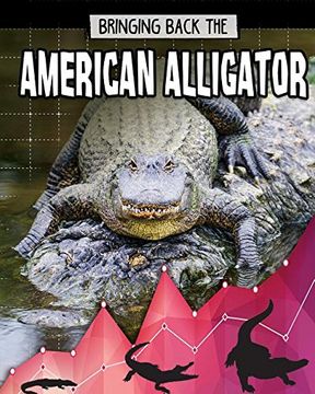 portada Bringing Back the American Alligator (Animals Back From the Brink) (en Inglés)