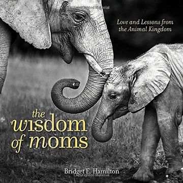 portada The Wisdom of Moms: Love and Lessons From the Animal Kingdom 