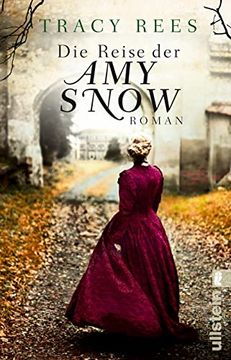 portada Die Reise der amy Snow: Roman (in German)