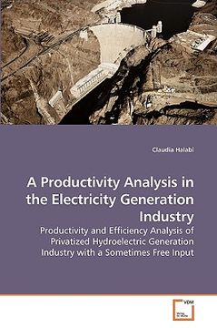 portada a productivity analysis in the electricity generation industry