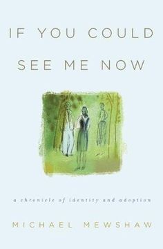 portada If you Could see me Now: A Chronicle of Identity and Adoption (en Inglés)