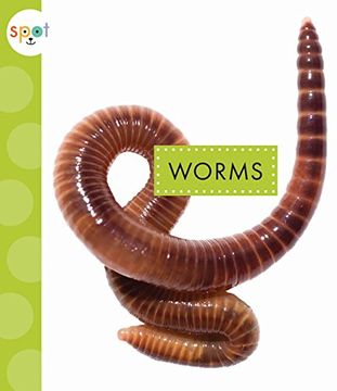 portada Worms (Spot Creepy Crawlies)