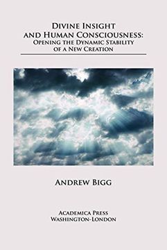 portada Divine Insight and Human Consciousness: Opening the Dynamic Stability of a New Creation (en Inglés)