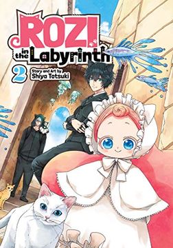 portada Rozi in the Labyrinth 2 (in English)