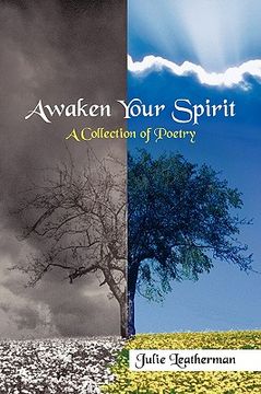 portada awaken your spirit: a collection of poetry (en Inglés)