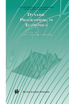 portada dynamic programming in economics (in English)