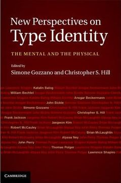 portada new perspectives on type identity