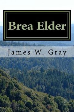 portada Brea Elder: A bear god's exploration of Japanese culture (en Inglés)