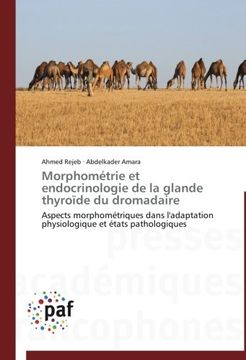 portada Morphometrie Et Endocrinologie de La Glande Thyroide Du Dromadaire