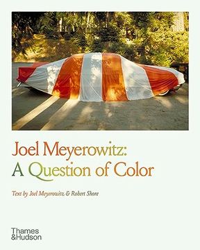 portada Joel Meyerowitz: A Question of Color (en Inglés)