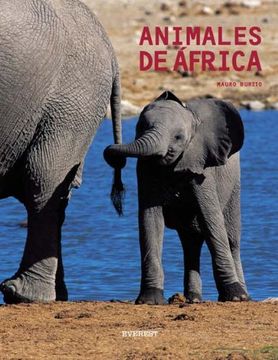 portada Animales de África (Manuales (Everest))