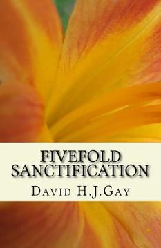 portada Fivefold Sanctification