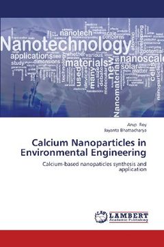 portada Calcium Nanoparticles in Environmental Engineering