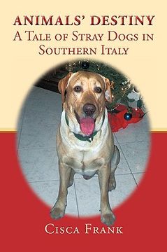 portada animals' destiny: a tale of stray dogs in southern italy (in English)