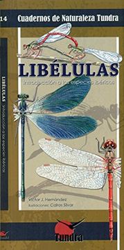 portada LibÃ lulas : introducciÃ n a las especies ibÃ ricas (in Spanish)