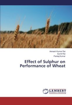 portada Effect of Sulphur on Performance of Wheat