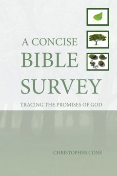 portada A Concise Bible Survey: Tracing the Promises of god (en Inglés)