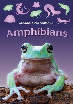 portada Amphibians (Classifying Animals)