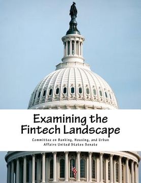 portada Examining the Fintech Landscape (in English)