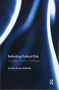 portada Rethinking Political Risk: Concepts, Theories, Challenges (en Inglés)