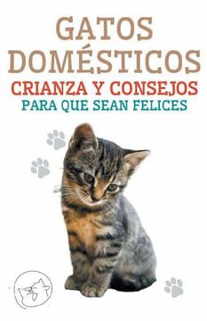 portada Gatos Domésticos Crianza y Consejos Para que Sean Felices