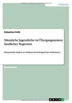 portada Männliche Jugendliche im Übergangssystem ländlicher Regionen (German Edition)