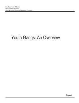 portada Youth Gangs: An Overview (en Inglés)
