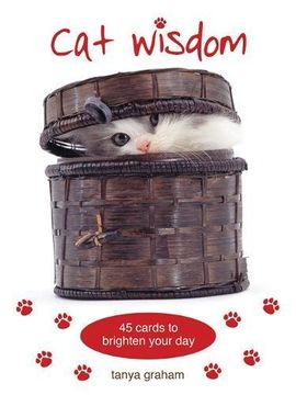 portada Cat Wisdom Cards: 45 Cards to Brighten Your day (in English)